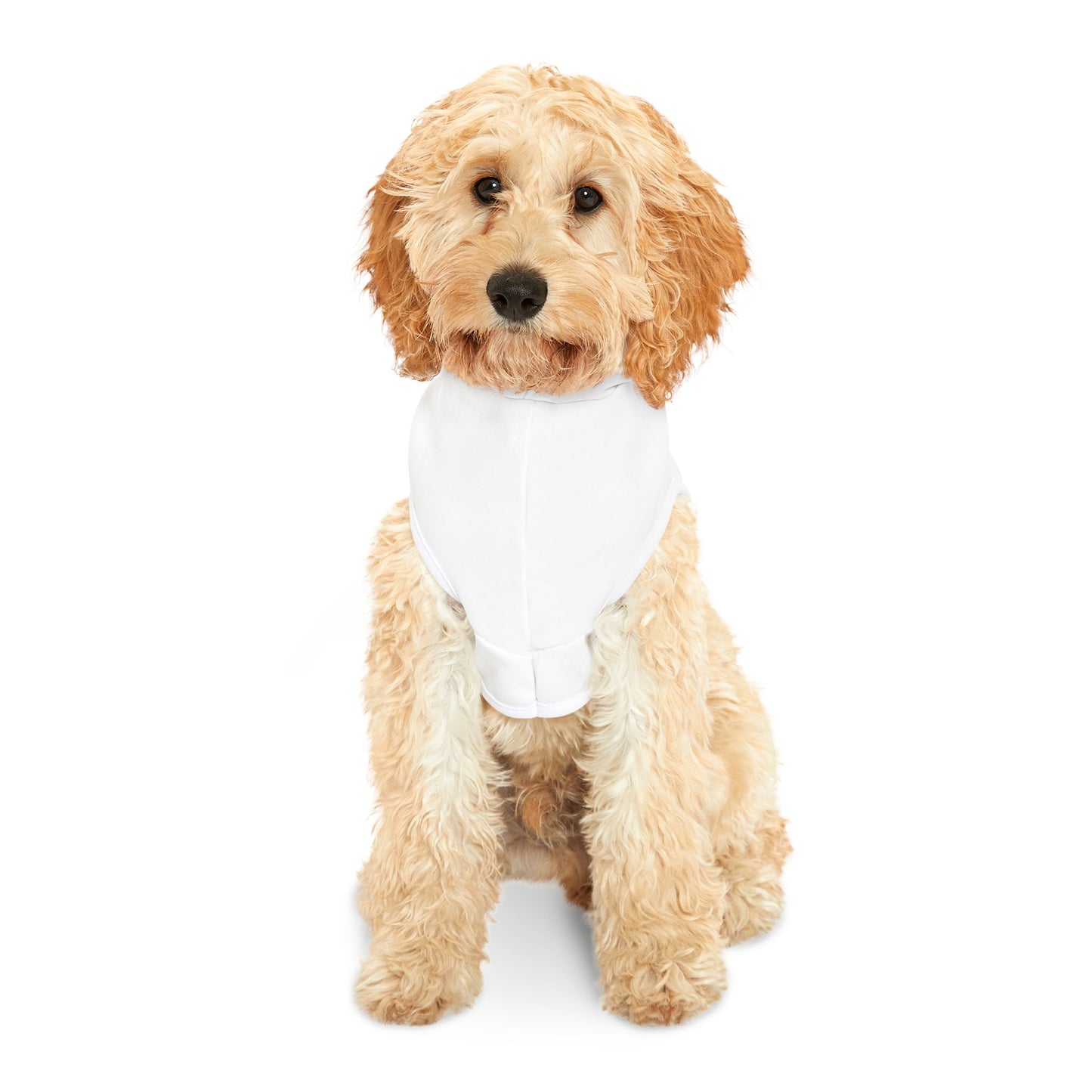 "Happy Hanukkah" Pet Hoodie