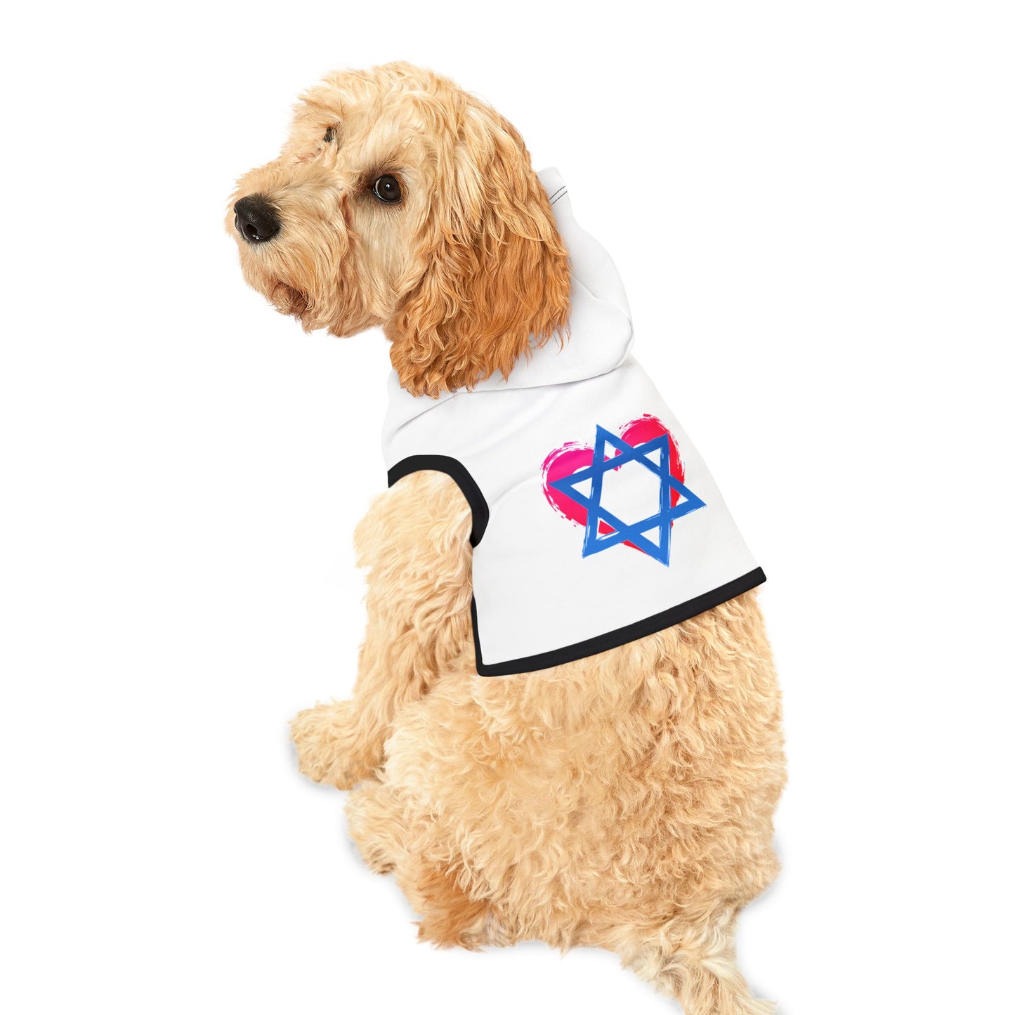 Star of David with Heart Pet Hoodie